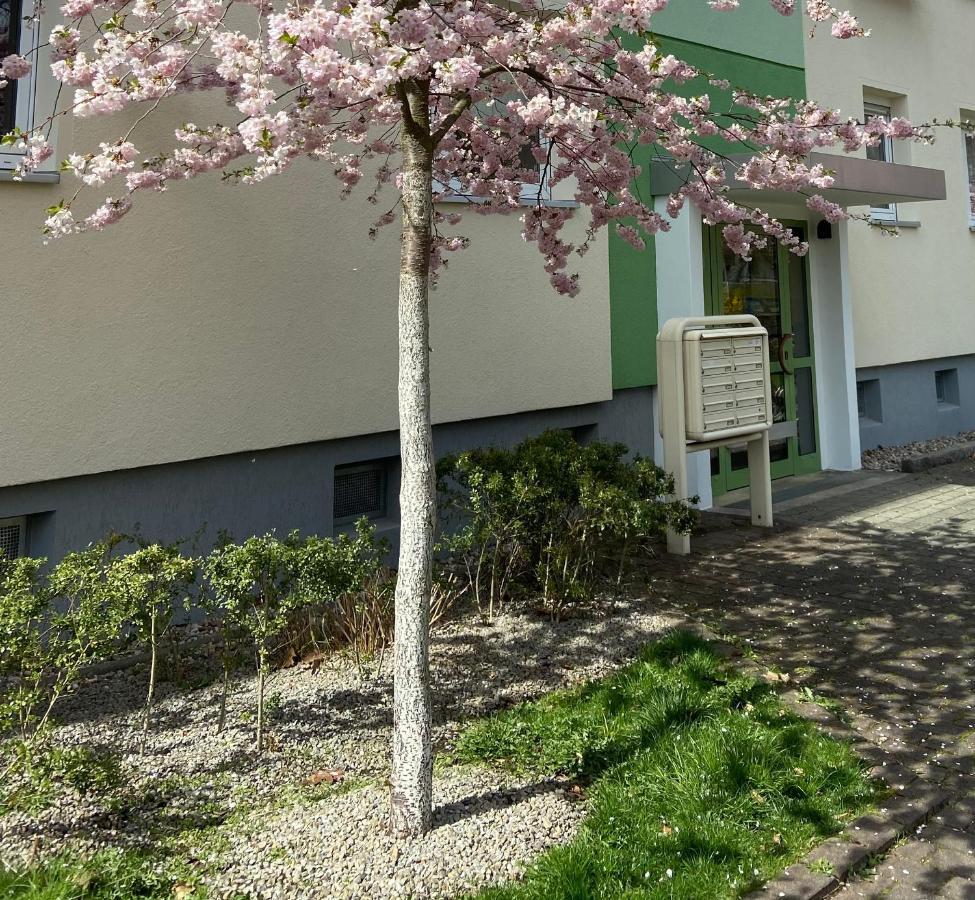 Schoene Kleine Wohnung コットブス エクステリア 写真